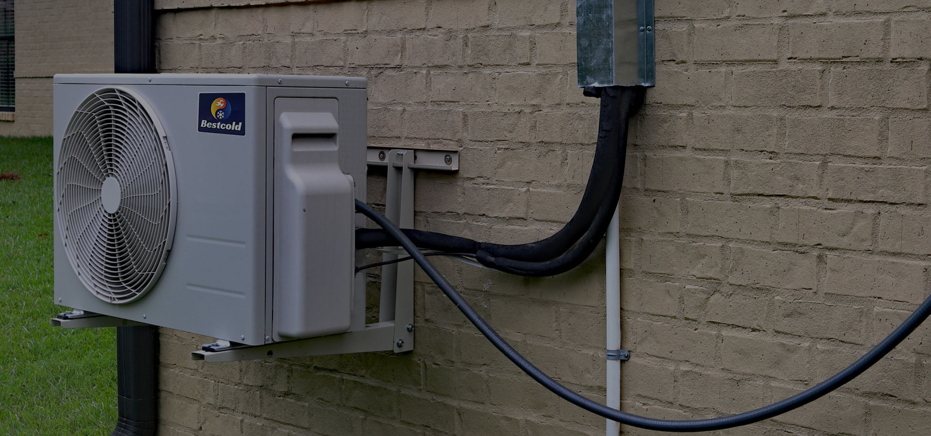 Bestcold Distributor